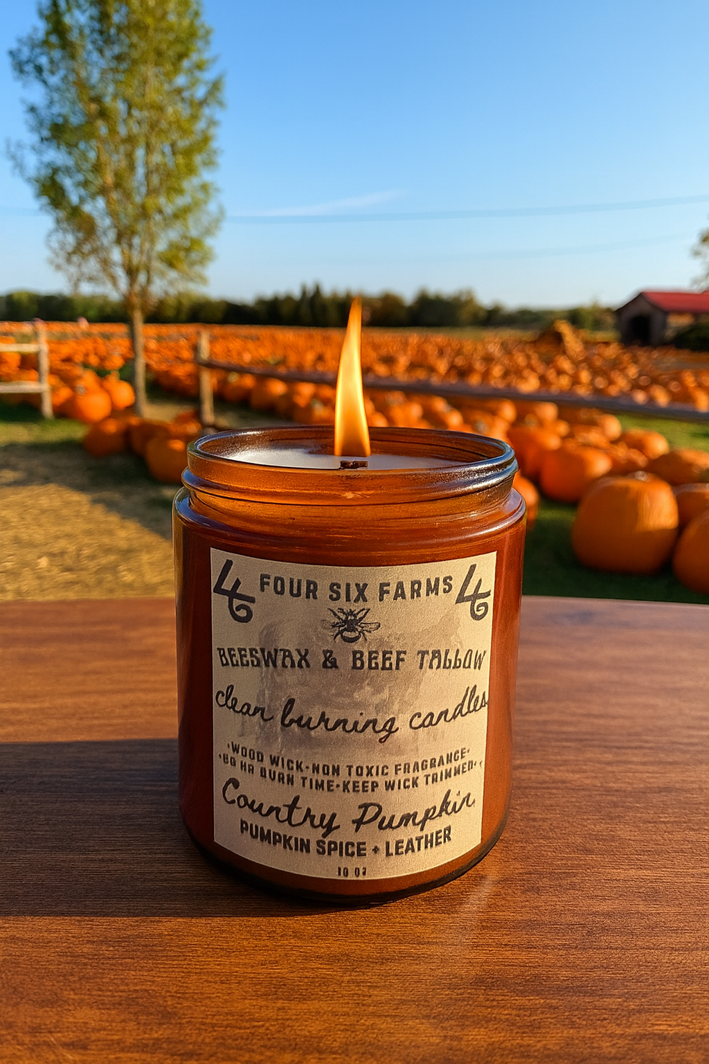 8 ounce Tallow and Beeswax candle – Four Six Farms